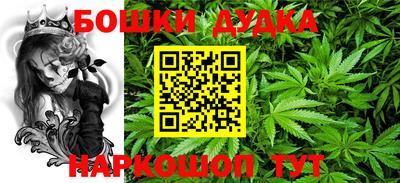 PSILOCYBIN Заволжье