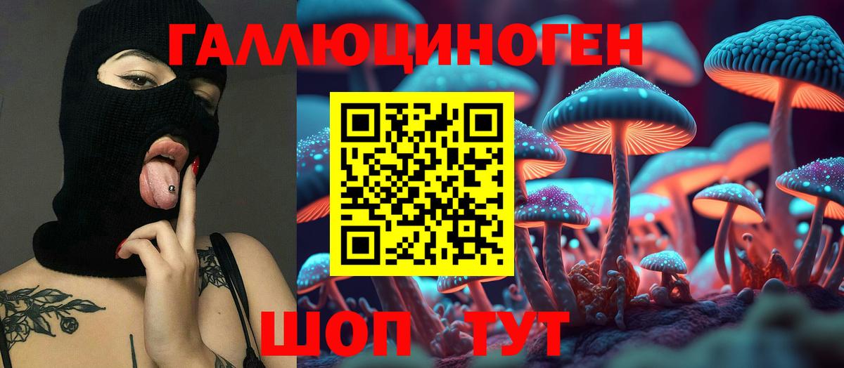 Псилоцибиновые грибы мицелий  Вход с VPN  Горячий Ключ  Псилоцибиновые грибы Magic Shrooms 