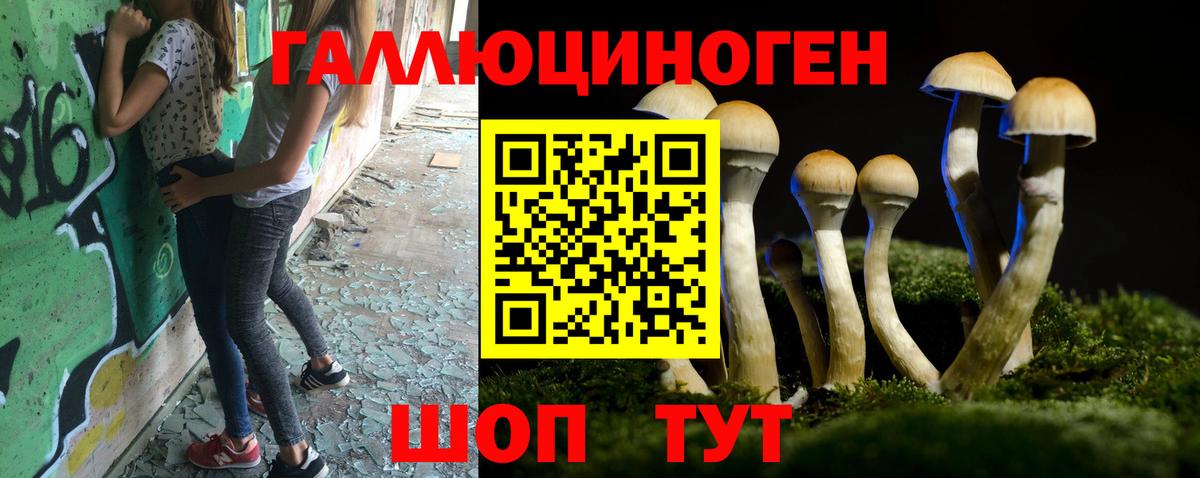 Галлюциногенные грибы Magic Shrooms Горячий Ключ
